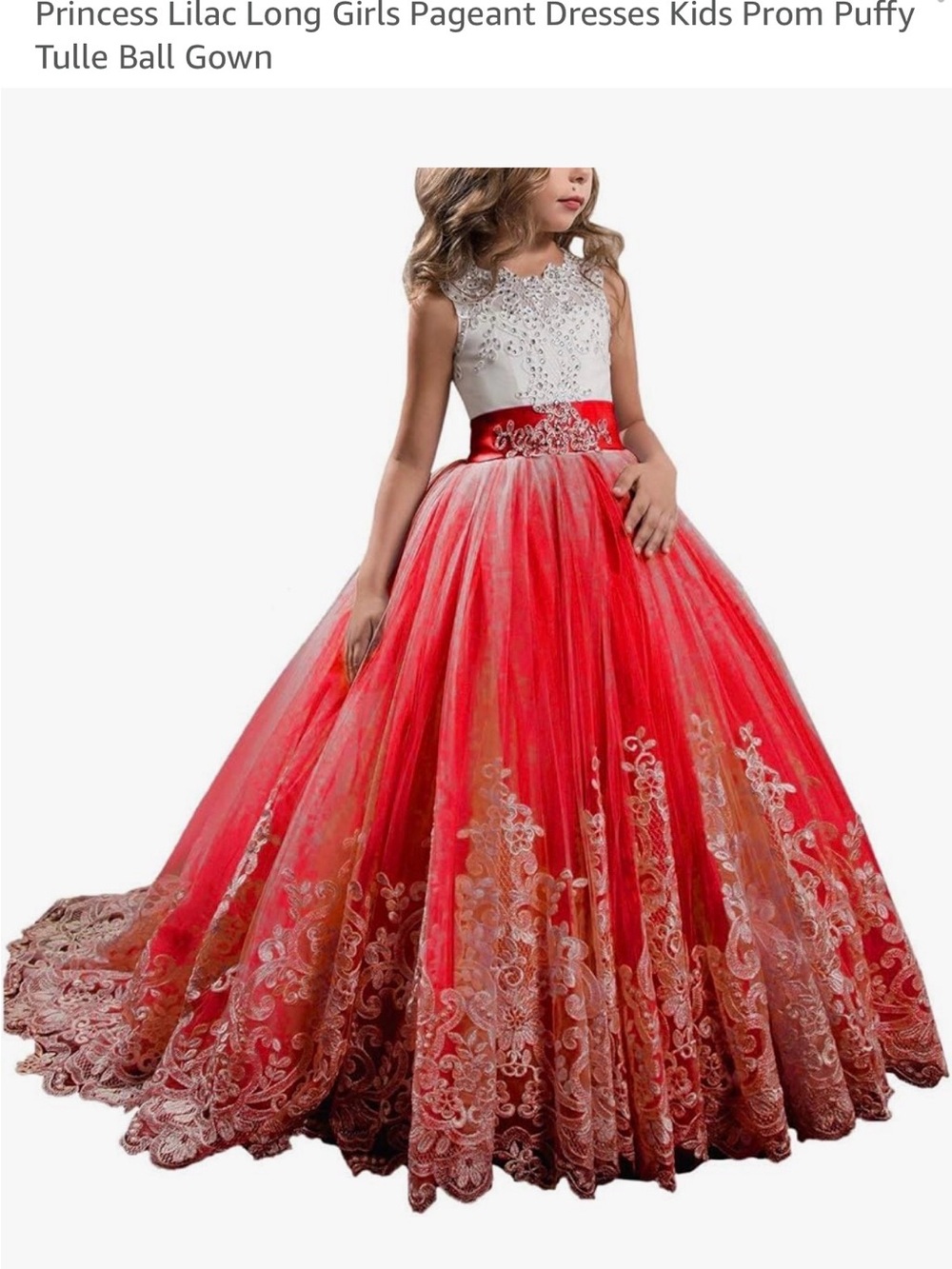 Red and white Embroidered Tulle Ball Gown Dress for Girls